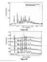 Fig. 07 - Crystalline forms of rapamycin analogs