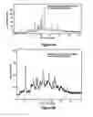 Fig. 09 - Crystalline forms of rapamycin analogs