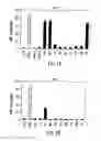 Fig. 02 - Polypeptide derivatives of parathyroid hormone (PTH)