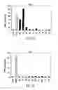Fig. 03 - Polypeptide derivatives of parathyroid hormone (PTH)
