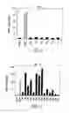 Fig. 06 - Polypeptide derivatives of parathyroid hormone (PTH)