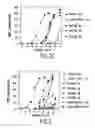 Fig. 10 - Polypeptide derivatives of parathyroid hormone (PTH)