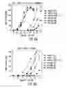 Fig. 12 - Polypeptide derivatives of parathyroid hormone (PTH)