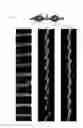 Fig. 02 - Peptides having antimicrobial and neurotrophic activity and uses thereof