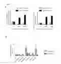 Fig. 09 - Peptides having antimicrobial and neurotrophic activity and uses thereof