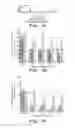 Fig. 06 - Protein kinase C peptides for use in withdrawal