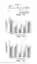 Fig. 07 - Protein kinase C peptides for use in withdrawal