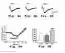 Fig. 09 - Protein kinase C peptides for use in withdrawal