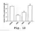 Fig. 11 - Protein kinase C peptides for use in withdrawal