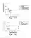 Fig. 13 - Protein kinase C peptides for use in withdrawal