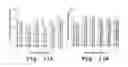 Fig. 14 - Protein kinase C peptides for use in withdrawal