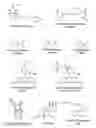 Fig. 01 - MODULATORS OF AMYLOID AGGREGATION