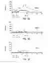 Fig. 05 - Methods and compositions for increasing the anaerobic working capacity in tissues
