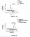 Fig. 04 - SCREENING ASSAY TO IDENTIFY CORRECTORS OF PROTEIN TRAFFICKING DEFECTS