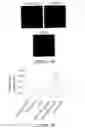 Fig. 07 - SCREENING ASSAY TO IDENTIFY CORRECTORS OF PROTEIN TRAFFICKING DEFECTS