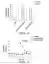 Fig. 09 - SCREENING ASSAY TO IDENTIFY CORRECTORS OF PROTEIN TRAFFICKING DEFECTS