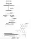Fig. 22 - SCREENING ASSAY TO IDENTIFY CORRECTORS OF PROTEIN TRAFFICKING DEFECTS