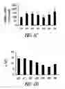 Fig. 04 - Targeting CDK4 and CDK6 in cancer therapy