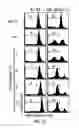 Fig. 06 - Targeting CDK4 and CDK6 in cancer therapy