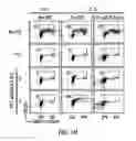 Fig. 08 - Targeting CDK4 and CDK6 in cancer therapy