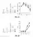 Fig. 10 - Targeting CDK4 and CDK6 in cancer therapy