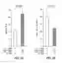 Fig. 14 - Targeting CDK4 and CDK6 in cancer therapy