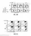 Fig. 17 - Targeting CDK4 and CDK6 in cancer therapy