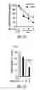 Fig. 19 - Targeting CDK4 and CDK6 in cancer therapy