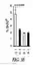 Fig. 20 - Targeting CDK4 and CDK6 in cancer therapy