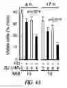 Fig. 24 - Targeting CDK4 and CDK6 in cancer therapy
