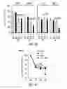 Fig. 25 - Targeting CDK4 and CDK6 in cancer therapy