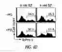 Fig. 26 - Targeting CDK4 and CDK6 in cancer therapy