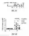 Fig. 28 - Targeting CDK4 and CDK6 in cancer therapy