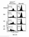 Fig. 29 - Targeting CDK4 and CDK6 in cancer therapy