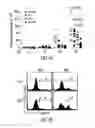 Fig. 32 - Targeting CDK4 and CDK6 in cancer therapy