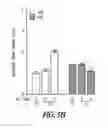 Fig. 33 - Targeting CDK4 and CDK6 in cancer therapy