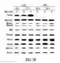 Fig. 41 - Targeting CDK4 and CDK6 in cancer therapy