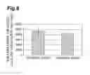 Fig. 06 - Method of using isomaltulose to suppress body fat accumulation