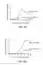 Fig. 04 - Nutraceutical Composition and Methods for Preventing or Treating Multiple Sclerosis