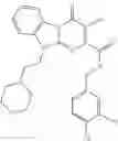Fig. 126 - Bicyclic pyrimidinones and uses thereof