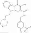 Fig. 134 - Bicyclic pyrimidinones and uses thereof