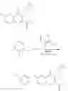 Fig. 217 - Bicyclic pyrimidinones and uses thereof