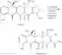 Fig. 103 - Synthesis of tetracyclines and analogues thereof