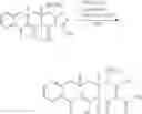 Fig. 141 - Synthesis of tetracyclines and analogues thereof