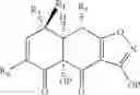 Fig. 191 - Synthesis of tetracyclines and analogues thereof