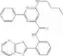 Fig. 45 - SOLUBILIZED THIAZOLOPYRIDINES