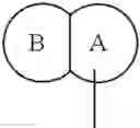 Fig. 15 - FUSED RING COMPOUNDS AS PARTIAL AGONISTS OF PPAR-GAMMA