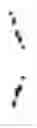 Fig. 02 - Compounds
