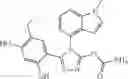 Fig. 339 - Triazone compounds that modulate HSP90 activity
