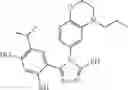 Fig. 494 - Triazone compounds that modulate HSP90 activity